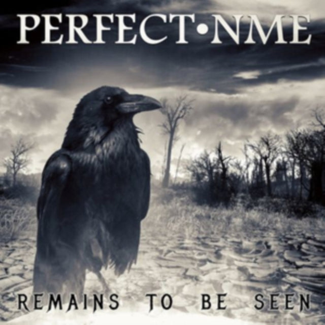 PERFECT NME - REMAINS TO BE SEEN - CD