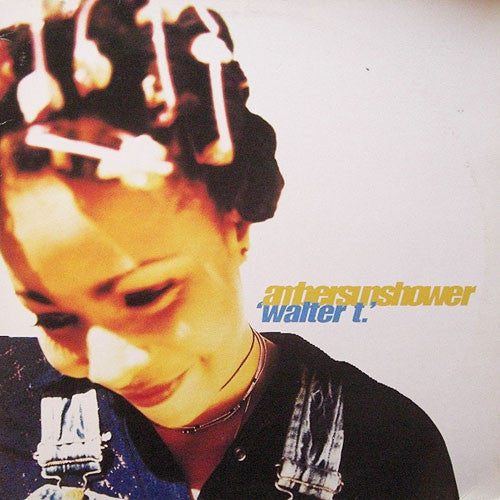 Ambersunshower - Walter T - Used Vinyl Record 12"