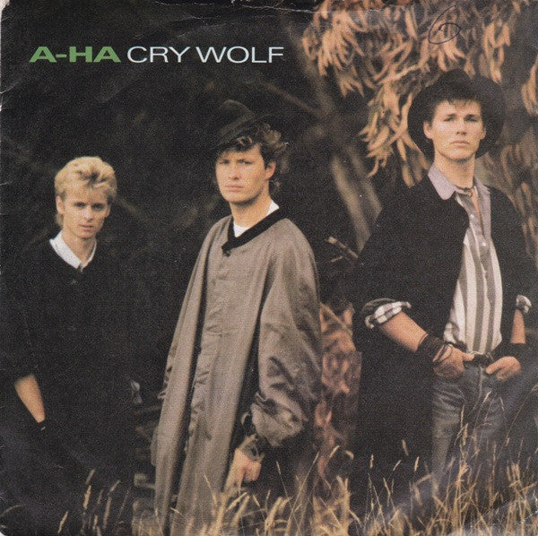 a-ha - Cry Wolf - Used Vinyl Record 7"