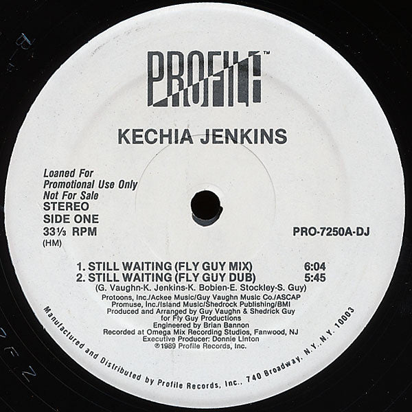 Kechia Jenkins - Still Waiting - Used Vinyl Record 12"