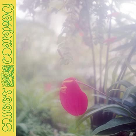 JABU - SWEET COMPANY - CD