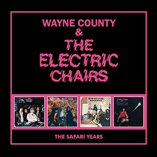 WAYNE COUNTY & THE E - SAFARI YEARS,THE - CD4