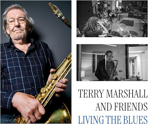 TERRY MARSHALL AND F - LIVING THE BLUES - New Vinyl Record