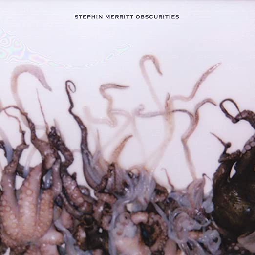 STEPHIN MERRITT - OBSCURITIES - CD