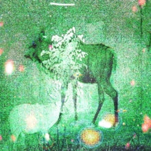 Ghost Lemurs - Wombs And Alien Spirits LP RELEASE DATE 01/03/24 (THI