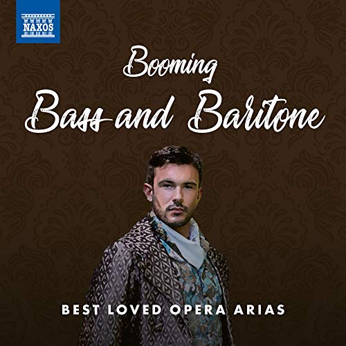 VARIOUS - ROSSINI ETC:BOOMING BASS - cd