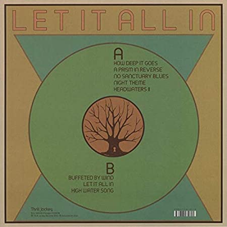 ARBOURETUM - LET IT ALL IN - Vinyl Record 12" RECORD