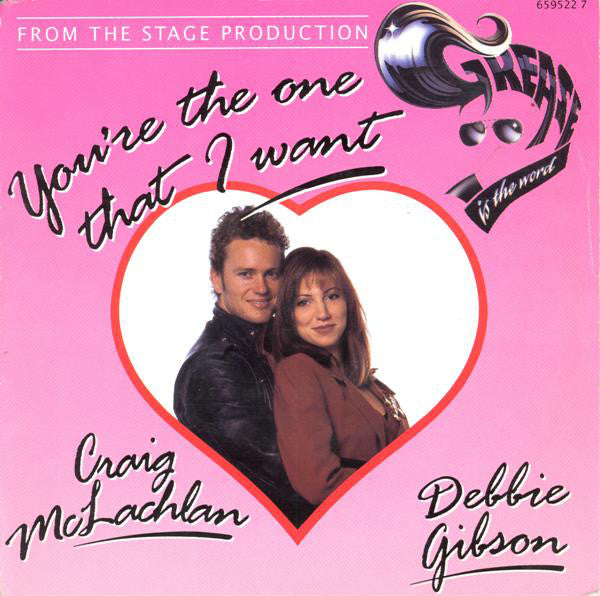 Craig McLachlan - You're The One That I Want - Used Vinyl Record 7"