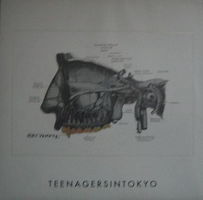 Teenagersintokyo - Very Vampyr - Used CD