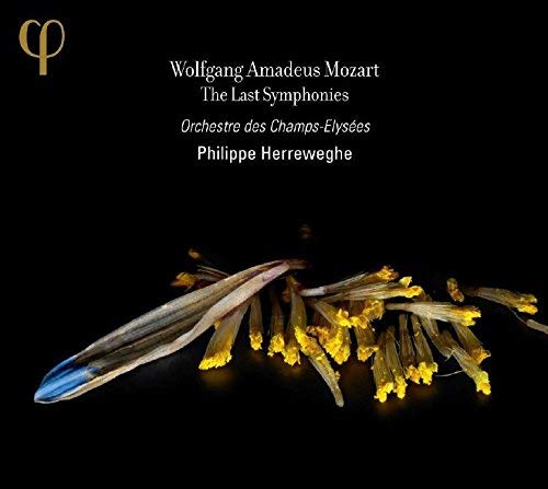 Wolfgang Amadeus Moz - : The Last Symphonies - CD