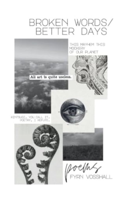 Vosshall - broken words/better days - New paperback or softback