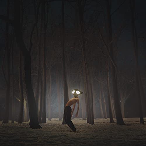 GEESE - PROJECTOR - New C-90 FERRIC