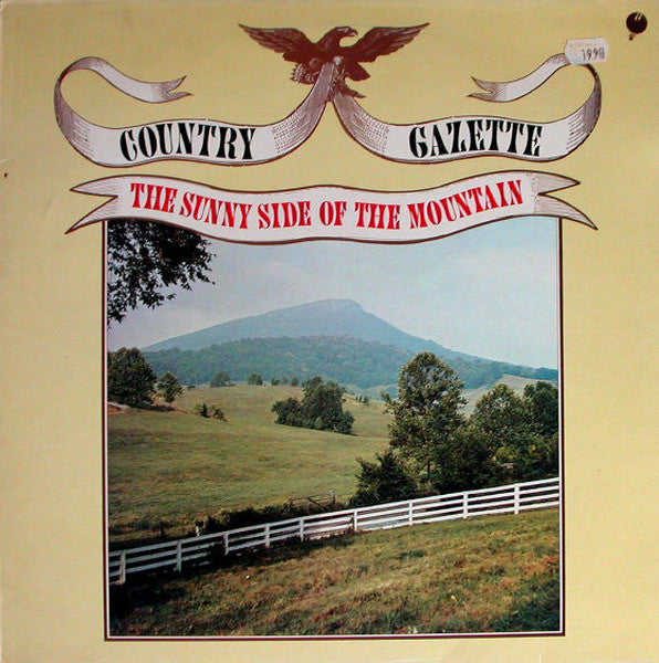 Country Gazette - Sunny Side Of The Mountain - Used Vinyl Record