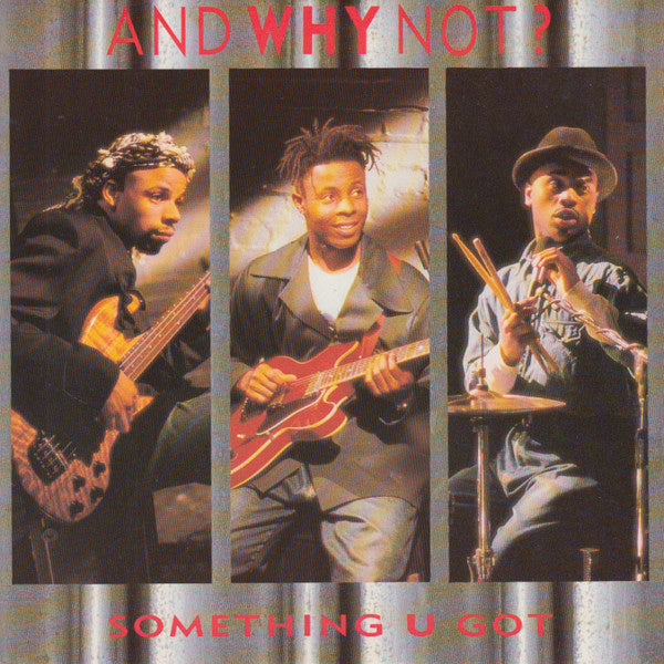 And Why Not? - Something U Got - Vinyl Record 7"