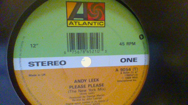Andy Leek - Please Please - Used Vinyl Record 12"