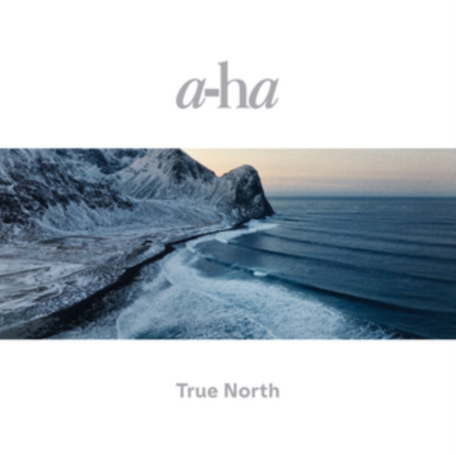 a-ha - True North - Vinyl Record Vinyl Longplay 33 1