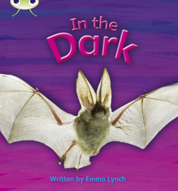 Emma Lynch - Bug Club Phonics Non-fiction Set 10 In the Dark - Paperba