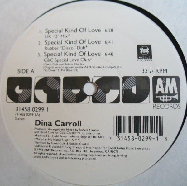 Dina Carroll - Special Kind Of Love - Used Vinyl Record 12"