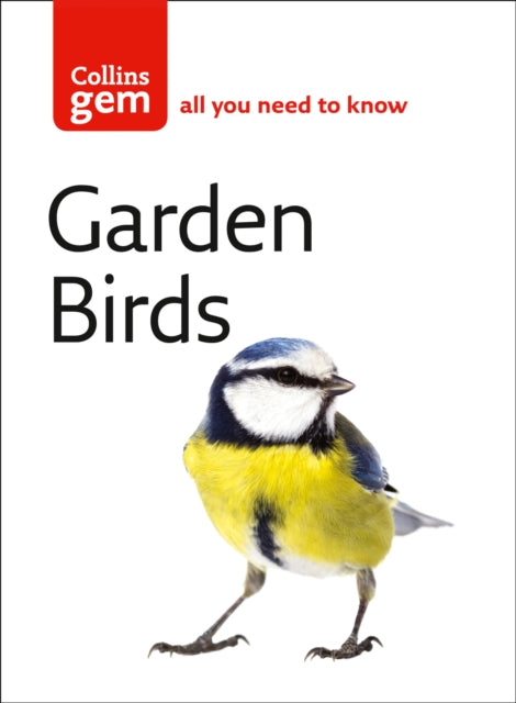Stephen Moss - Garden Birds - Paperback