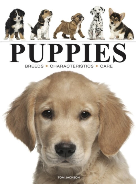 Tom Jackson - Puppies - New Paperback