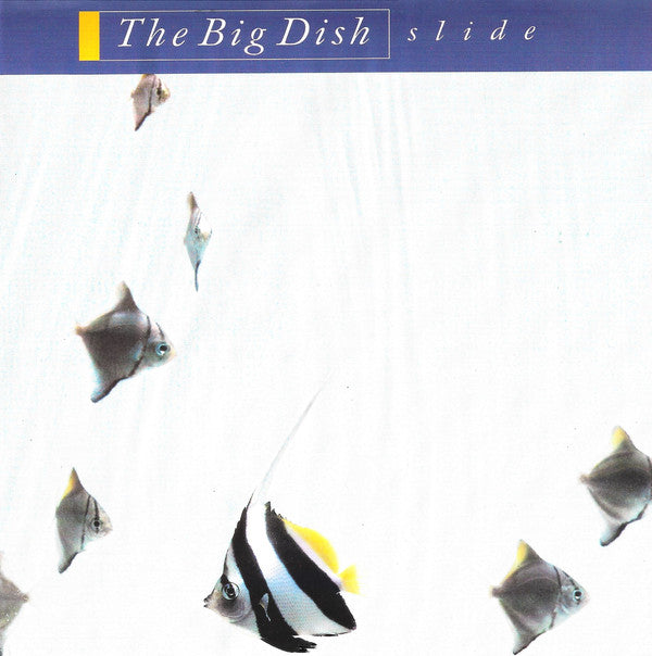 Big Dish - Slide - Used Vinyl Record 7"