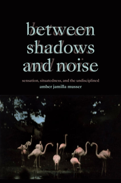 Amber Jamilla Musser - Between Shadows and Noise : Sensation, Situated