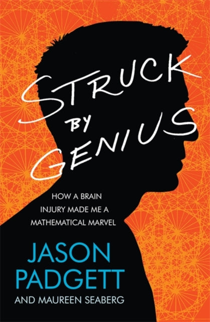 Maureen Seaberg - Struck by Genius : How a Brain Injury Made Me a Math