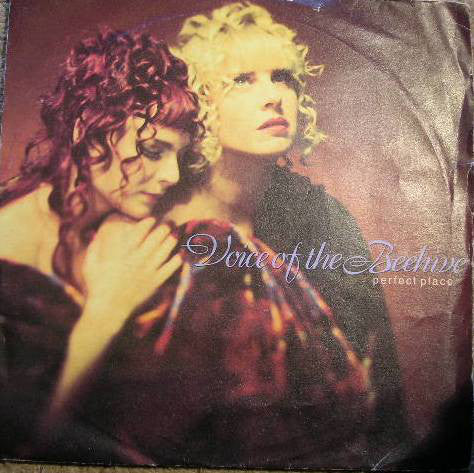 Voice Of The Beehive - Perfect Place - Used Vinyl Record 7"