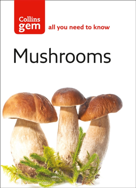 Patrick Harding - Mushrooms - Paperback