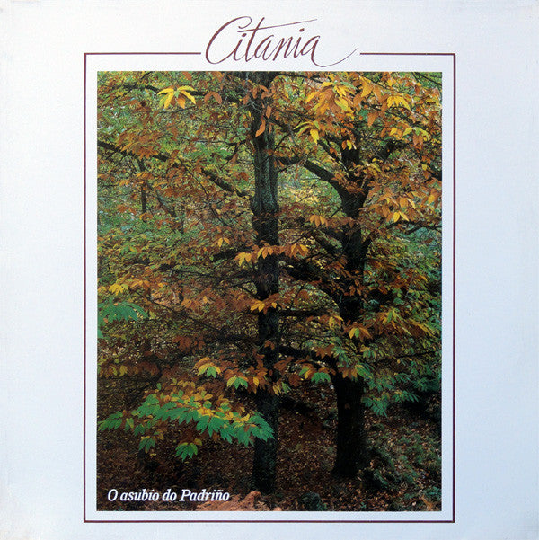 Citania - O Asubio Do Padrino - Used Vinyl Record