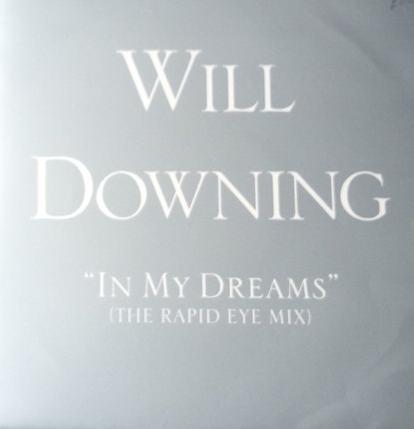 Will Downing - In My Dreams - Used Vinyl Record 12"