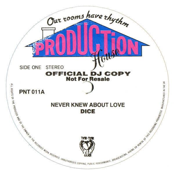 Floyd Dyce - Never Knew About Love - Used Vinyl Record 12"