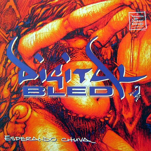 Digital Bled - Esperando Chuva - Used Vinyl Record 12"