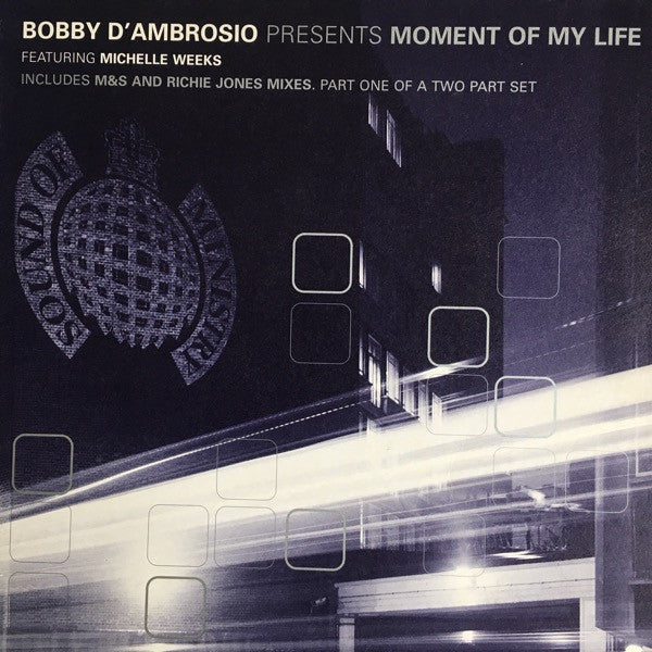 Bobby D'Ambrosio - Moment Of My Life - Used Vinyl Record 12"