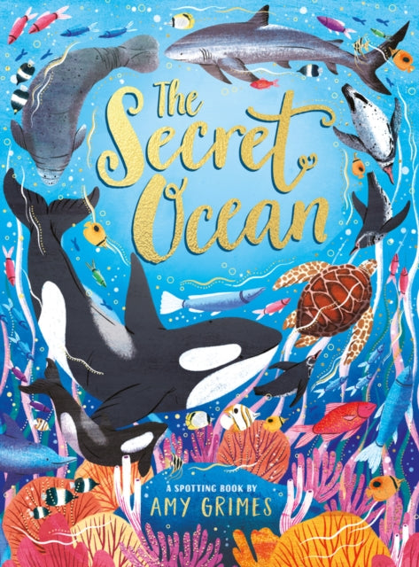 Amy Grimes - Secret Ocean - New Hardback