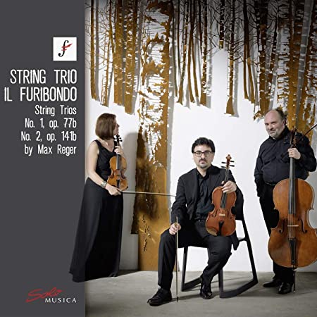 Max Reger - : String Trios No. 1 Op. 77b/No. 2 Op. 141b - CD