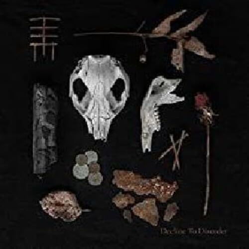 BIRDS OF PASSAGE - LAST GARDEN - New Vinyl Record VL