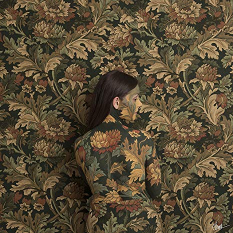 Honeyblood - In Plain Sight - CD