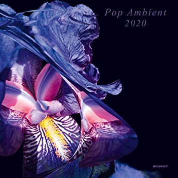 VARIOUS ARTISTS - POP AMBIENT 2020 - CD