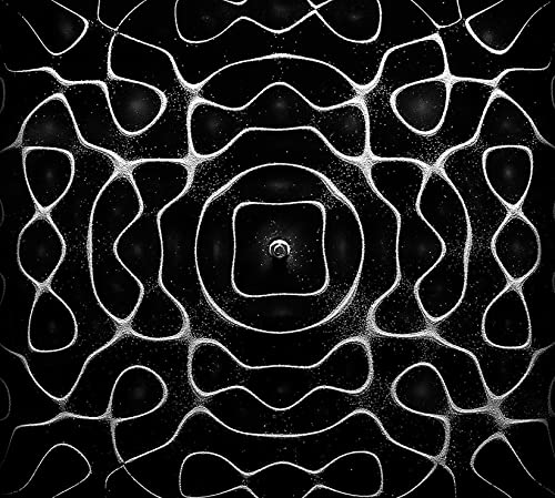 NODE - SINGULARITY - CD