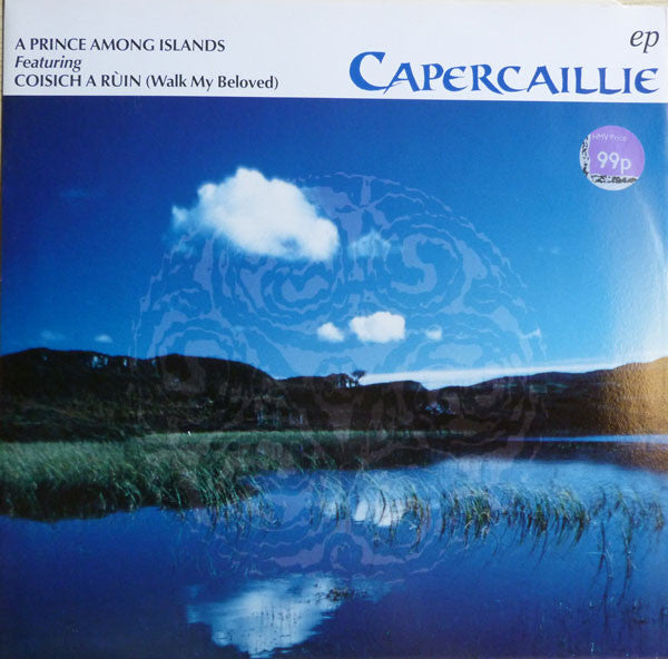 Capercaillie - A Prince Among Islands - Used Vinyl Record 12"