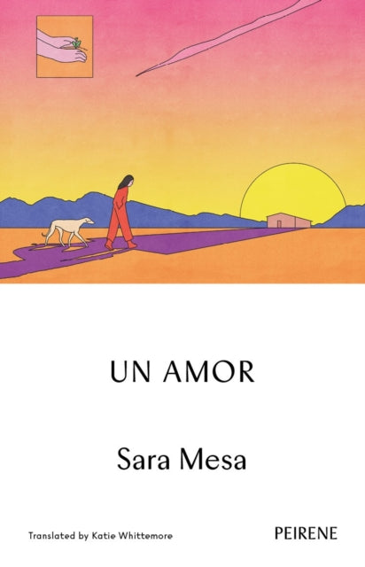 Sara Mesa - Un Amor - Paperback