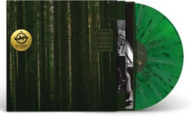 Paper Kites - Evergreen - Vinyl Record