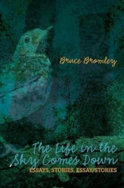 Bruce D Bromley - Life in the Sky Comes Down : Essays, Stories, Essay/