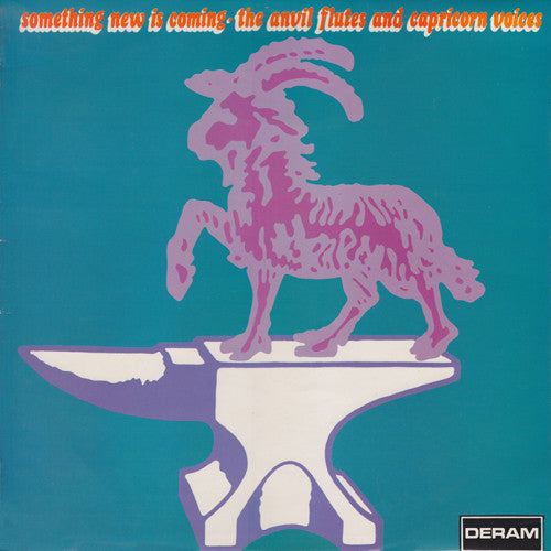 Anvil Flutes And Cap - Something New Is Coming - Used Vinyl Record