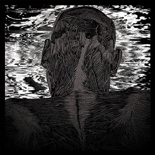 ASHER LEVITAS - LIT HARNESS - Vinyl Record VL