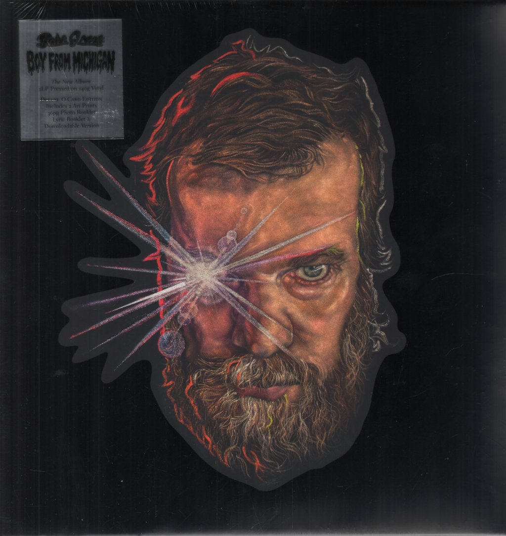 John Grant - Boy From Michigan - Used Vinyl Record
