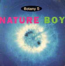 Botany 5 - Nature Boy - Used Vinyl Record 7"