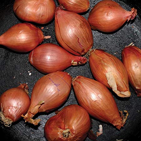 Ty Segall - Fried Shallots - Vinyl Record 12"