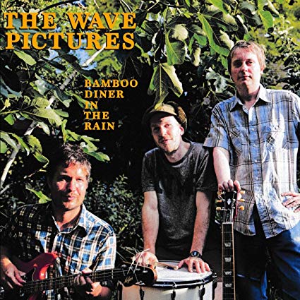 Wave Pictures - Bamboo Diner In The Rain - CD